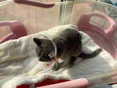 -北京恒爱动物医院(清景园分院)