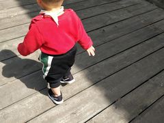 -宁波浙东大竹海景区
