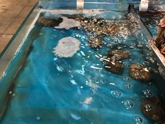 -渔公码头海货全海鲜自助(海滨旅游路店)