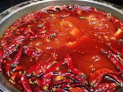 -渝大狮毛肚老火锅(普陀店)