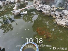 -龙华寺