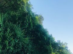 -青龙山国家森林公园