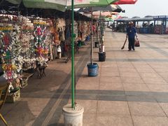 -日照灯塔风景区