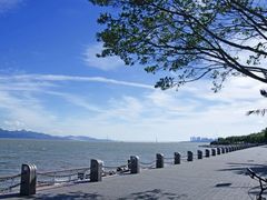 -深圳湾公园(南山区)