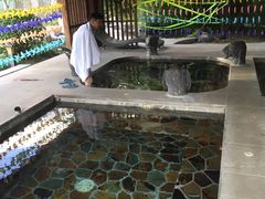 -中家鑫园温泉酒店鑫悦汤泉