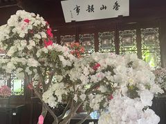 -上海醉白池公园