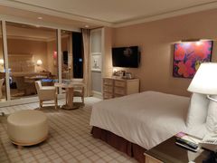 -拉斯维加斯永利酒店