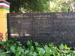 -罗布林卡