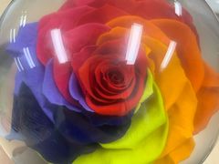 -ROSEONLY诺誓(国际广场购物中心店)