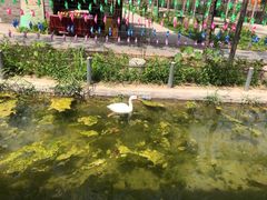 -河北村民俗体验园