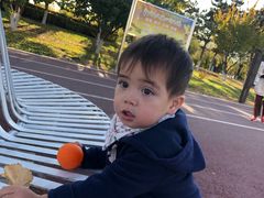 -丁香湖公园