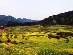 -灵山景区梯田