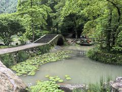 -刘伯温故里景区百丈漈