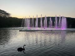 -清迈夜间动物园