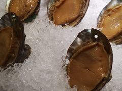 手工冰镇鲍鱼-木棉·醉心粤味(COCO Park店)