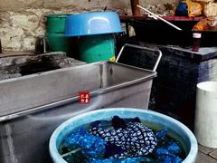 -璞真扎染博物馆