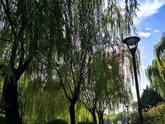 -元大都城垣遗址公园