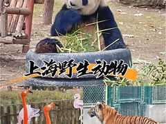 -上海野生动物园