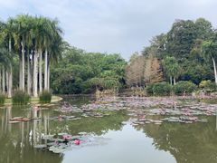 -中国科学院西双版纳热带植物园