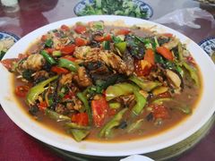 -生态苑农庄(十里画廊遇龙河店)