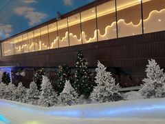 -世界之窗阿尔卑斯冰雪世界