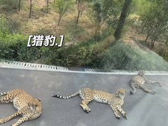 -太原动物园