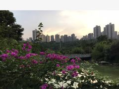 -龙头寺公园