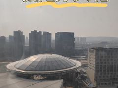-弘阳·未来世界(弘阳广场店)