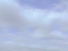 -广富林郊野公园