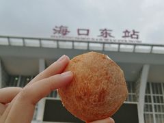 -海口东站