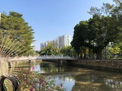 -晓港公园