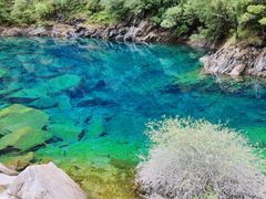 -叠溪松坪沟景区