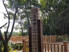 -大湾区中央湿地公园