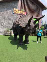 -恐龙探索乐园(磁器口店)