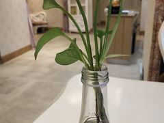 -金泰连锁·足道·SPA(惠州旗舰店)