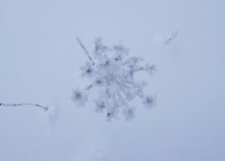 -大秃顶子山