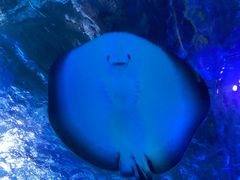 -正佳极地海洋世界