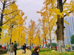 -百林公园-两江幸福广场