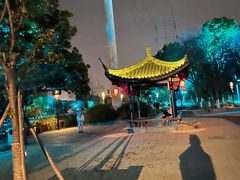 -运河游船(武林门码头)