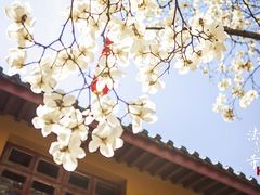 -杭州上天竺法喜讲寺
