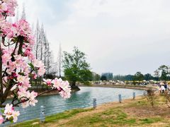 -蜀绣公园
