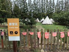 -前小桔亲子创意农场·草莓采摘·露营烧烤