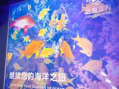 -成都浩海立方海洋公园