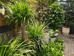 -双季花艺园艺市场(浦东店)