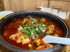 邵子牛脊髓-曾牛肉