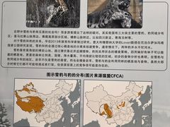 -青藏高原野生动物园