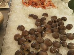 海螺-北京王府井希尔顿酒店·万斯阁西餐厅