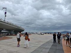 -演武大桥观景平台