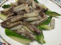 -新光酒家·河豚·海鲜·蟹料理(浦东店)