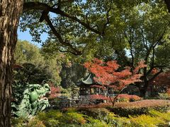 -申粤轩酒楼·三十年粤菜经典(丁香花园店)